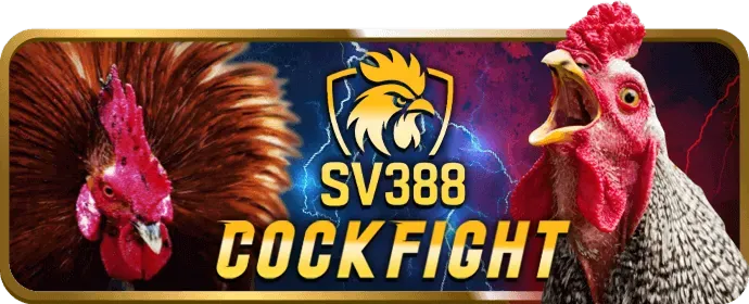 Trận đấu bóng rổ kịch tính tại 66ff casino